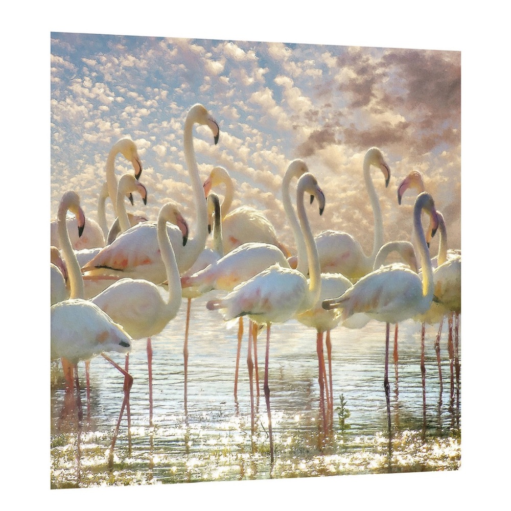 Flamingo Flair Frameless Free Floating Tempered
Wall art Glass Panel